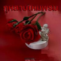 ราคา ส่งไวจากไทย!! ดอกกุหลาบไหมพรม โครเชต์ ดอกใหญ่ ดอกกุหลาบถัก วาเลนไทน์ ให้คนรัก ปัจฉิม แต่งบ้าน พร็อพถ่ายรูป Valentines (1731949786231375754)