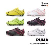 ราคา รองเท้าฟุตบอลเด็กและผู้ใหญ่ PUMA ATTACANTO FG/AG ( สนามหญ้าเทียมและหญ้าจริง ) สตั๊ดของแท้ (1731124304010644404)