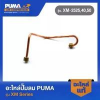 ราคา สินค้าแนะนำ PUMA แป๊บทองแดงโอโต-เช็ควาล์ว อะไหล่ปั๊มลม รุ่น XM-2525,30,40,50 (1731720785865376940)