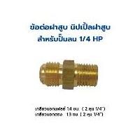 ราคา นิปเปิ้ลฝาสูบปั๊มลม สำหรับปั๊มลม PUMA รุ่น PP-1 (1/4 แรงม้า) (1731953709890308031)