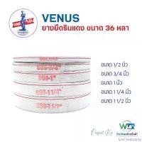 ราคา Levi Stationery VENUS ยางยืดวีนัสริมแดง ยางยืด ขนาด 36 หลา (สามารถออกใบกำกับภาษีได้) ขายดีประจำเดือนนี้ (1732297351086377591)