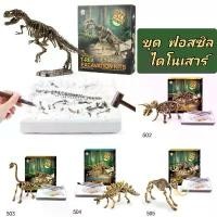 ราคา พร้อมส่ง ชุดขุดฟอสซิลไดโนเสาร์ ชุดขุดฟอสซิล ไดโนเสาร์ฟอสซิล fossil dinosour ของเล่นเด็ก ของเล่นไดโนเสาร์ (1732114826817144167)