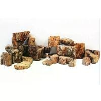 ราคา หินฟอสซิลไม้ สีส้มแดงจากธรรมชาติ  Wood fossil stone "ก้อนกลางและเล็ก" สำหรับตกแต่งตู้ปลา ตู้ไม้น้ำ แต่งสวน น้ำตก สวนถาด (1729739695383021796)