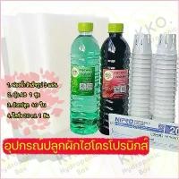 ราคา afefwggqshop ชุด Accessory อุปกรณ์ปลูกผักไฮโดรโปนิกส์ ปุ๋ยAB สูตรทนด่าง EDDHA (1730038252931156960)