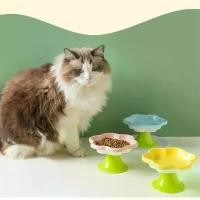 ราคา OK Da1ly use จัดส่งเร็วชามยกสูง จานแมว จานอาหารแมว เซรามิก ข้าวแมว Cat Bowl แมวไทย เปอร์เซีย COD แมว catnip ถัง ปั่น อาหาร สัตว์ ถุง ครอบ ลิ้น หลุม ปลอมแกล้ง คาร์ซีท ใน รถ นวม (1731886244845225882)
