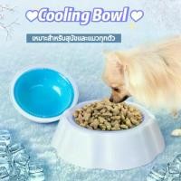 ราคา cooling bowl ถ้วยน้ำเจลเย็น สำหรับสัตว์เลี้ยง ถ้วยน้ำหมา ชามเจล ชามใส่น้ำ เจลเย็น ดับร้อน , ชามอาหารสัตว์เลี้ยง ชามสุนัข หมา แมว ชามสัตว์เลี้ยง pet bowl /dog bowl (1729641429625310051)