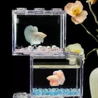 ราคา Betta Fish Bowl, Betta Fish Box, ตู้ปลาเดสก์ท็อป, Betta ไทย, สัตว์น้ำประดับขนาดเล็ก, บล็อกเลโก้ทับซ้อนกัน, ตู้แถว, 6 หลุม, ชามปลา Betta โปร่งใสสูง, ตู้ปลา Betta, ชุดตู้ปลา, พร้อม (1731190173958047238)