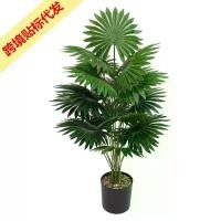 ราคา ต้นปาล์มต้นไม้สีเขียวประดิษฐ์, พืชกระถางชั้น, สไตล์นอร์ดิก, ตกแต่งบ้าน, เหมาะสำหรับกระถางต้นไม้สีเขียว orchid orchid sun clock พัดโบก ไล่ ฝน พัด วง บัส ตู้ atm เก่า มี เงิน ก (1731264438812509732)