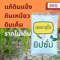 ราคา ผงยิปซั่มปรับปรุงดินแข็ง เค็ม 3 Kg. | Calcium Sulfate (Gypsum) soil conditioner (1729633461844544217)
