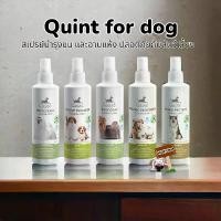 ราคา Quint Silky Coat 250ml.สเปรย์อาบแห้งและบำรุงขน อาบแห้งสุนัข อาบแห้งแมว จัดส่งฟรี กทม (1732364971704551096)
