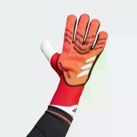 ราคา adidas Football Predator Pro Goalkeeper Gloves Unisex Red IW6276 (1731301241677908755)