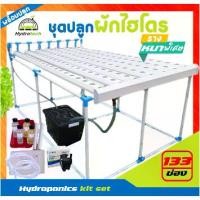 ราคา [รางหนาพิเศษ]ชุดปลูกผักไฮโดรโปนิกส์ รุ่น133ช่อง อุปกรณ์พร้อมปลูก Hydroponics kit set (1729724642105461378)