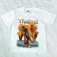 ราคา เสื้อยืดเด็ก เสื้อเด็กคอกลมสกรีนลายช้างไทยแลนท์ งาน Paint my love คอตตอน 100% (1730515468224465848)