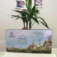 ราคา Lusaby หมอนยางพารา Natural Latex Pillow นุ่มสบาย หมอนข้างละ 2.5 กก. พร้อมปลอกหมอน หมอนยางพาราแท้จากประเทศไทย 067 (1731667367319602477)