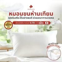 ราคา MAPLE''S Pillow with Zipper - Body Pillow with Microgel Artificial Goose Down, Reduces Neck and Shoulder Pain, Dust Mite Prevention, Hypoallergenic, Microgel (1731761695896470813)