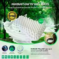 ราคา หมอนยางพาราแท้ 100% CURVE PILLOW รุ่น P ทรงKNOBBY (1729594579247139829)