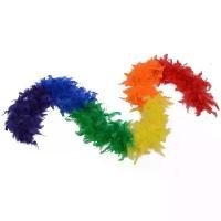 ราคา 2 ม. สายขนนก เฟอร์ขนนก พร็อพขนนก คลุมไหล่ สีรุ้ง หลากสี Rainbow LGBT PRIDE LGBTQ LGBTQA+ Feather 2m String Show Prop (1731644913021060702)