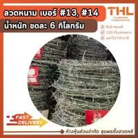 ราคา ลวดหนาม เบอร์ 13, 14 ลวดเหล็กชุบสังกะสี กัลวาไนซ์ Galvanized Barbed Wire (1731872485845861753)