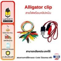 ราคา สายไฟ ปากคีบสายไฟ หัวคลิปหนีบ ปากจระเข้ 10 เส้น ยาว 50 ซม. Long wire Alligator clip 10 pcs 50 cm. USB-A (1730880978854775501)