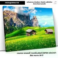 ราคา กรอบรูป ภาพทุ่งหญ้าเขียว บ้านไม้ วิวภูเขา ธรรมชาติ แต่งบ้านสวยสงบ C-73 (1732175895752575998)