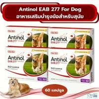 ราคา Antinol For Dog อาหารเสริมบำรุงข้อสำหรับสุนัข 1 กล่อง มี 60 แคปซูล (1731995740021556743)