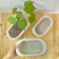 ราคา กระถางอิฐมวลเบาทรงยาว + ขาไม้และถาดรองกระถางปูน 18*10*8cm COD กิ่งก้านใบ โบกอม อ่างใส่บัว เคลมสินค้ากรณีเสียหายระหว่างการจัดส่ง กระถางต้นไม้และเครื่องปลูก grow garden กล่องสุ (1731920658584667474)