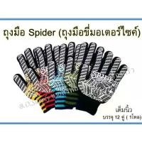 ราคา 【ส่งฟรี】 ถุงมือขี่มอเตอร์ไซต์เต็มนิ้ว ครึ่งนิ้ง ถุงมือSpider ถุงมือขับมอไซต์ (1732155424572998919)