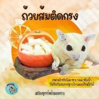 ราคา ( ถ้วยส้มติดกรง ) บ้านส้ม ถ้วยอาหาร นก ถ้วยชูก้า ถ้วยชูการ์ ที่นอน เบาะนอน แขวนกรง ติดกรง สัตว์เลี้ยง สัตว์เล็ก กระรอก (1732112417237599540)