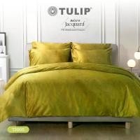 ราคา [COD] (New) TULIP Micro Jacquard TJ005 สีพื้น ทอลายนูนบนเนื้อผ้า ชุดผ้าปูที่นอน ผ้าห่ม ผ้านวม ให้ความเรียบ หรู (1732075315365185446)