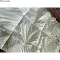 ราคา ผ้าห่ม รองนอน กันเปื้อน มือสอง(ในไลฟ์สดเท่านั้น) (1732288579192391068)