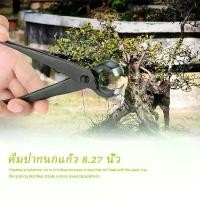 ราคา คีมปากท้องเรือ / คีมปากนกแก้ว 8.27 นิ้ว คีมบอนไซ เครื่องมือบอนไซ อุปกรณ์บอนไซ คีมท้องเรือ กรรไกรสำหรับตัดกิ่งบอนไซ คําแนะนําผลิตภัณฑ์ใหม่ของเดือนนี้ มีด แต่ง กิ่งทุเรียน (1732357555030951384)