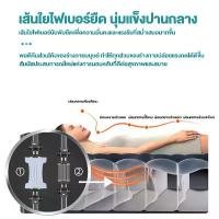 ราคา (INTEXแท้)ที่นอนเป่าลม2.5 3.5 4.5 5 6ฟุตที่นอนปิคนิคแบบพกพา พร้อมที่สูบลม เหมาะสำหรับกลางแจ้ง แคมป์ปิ้ง ท่องเที่ยว บ้าน มีบริการเก็บปลายทาง นอน ฟุต หนา นิ้ว ตัว ดัง ใน ti (1731853429873739412)