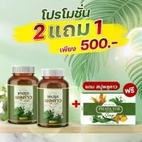 ราคา [2 แถม 1] แคปซูล2+สบู่1 สมุนไพรพลูคาว จัดการปัญหาผิวหนัง (1729646713083103533)