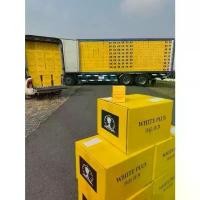 ราคา ของแท้ 100% Light White ครีมไลท์ไวท์ แพคเกจใหม่ 50 g. เซ็ตครีม+สบู่ คอนทัวร์ (1732054378577167692)