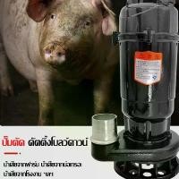 ราคา CODปั๊มน้ำดูดโคลน ไดโว่ดูดโคลน ปั้มดูดโคลน ปั๊มแช่1.5นิ้ว1500W ปั๊มแช่ไฟฟ้า ดูดโคลน ปั๊มจุ่ม ปั๊มน้ำ ปั้มแช่ สายไฟ10เมตร (1732392735827920340)