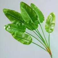 ราคา ใบเต่ามงคล, ใบเต่ากัวนิน, ใบเต่าทอง, ใบเต่า, สีนกสวรรค์, ตกแต่งภูมิทัศน์ระดับไฮเอนด์, การจัดดอกไม้, พืชปลอม, มัด 7 ส้อม (1732399951404631657)