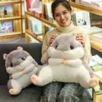 ราคา เก้าอี้พยุงเอว นักเรียน Totoro Hamster ดีไซน์น่ารัก เบาะหมอนรองเอว เบาะพนักพิง หมอนสร้างสรรค์ เหมาะสำหรับรถยนต์และสำนักงาน หมอนอิง ประถมบันเทิงศิลป์ เบาะรองนั่ง สมาธิ แผ่นรอง นั่ง เบาะ รอง (1731830798