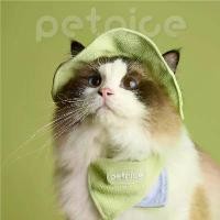 ราคา หมวกลูกแมวหูเปิดสำหรับสุนัขและลูกสุนัขขนาดเล็กหมวกกันแดดหมวกชาวประมงสัตว์เลี้ยงฤดูร้อนพร้อมผ้าพันคอหมวกกันแดด ป้ายชื่อ น้องหมา น่ารัก ๆ อุปกรณ์ สัตว์เลี้ยง ป้ายชื่อ น้องหมา น่ารัก ๆ (17320939701382367