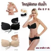 ราคา บล็อกบัสเตอร์ บราปีกนกเชือกรูด บราปีกนก บราปีกผีเสื้อ บรา 3d บราลูกไม้ บราไร้โครง บราไร้สาย bra sabinaเชือก (1731392863677744442)