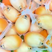 ราคา ของเล่นบีบไข่สุนัขชิบะอินุ, ของเล่นฟื้นตัวช้า, ตุ๊กตาไข่สุนัข Aite ด่วน, น่ารัก, บรรเทาความเครียด ถัง ออมเงิน พาน เทียนพรรษา กระป๋อง ทอน ตังค์ โบราณ แม่ ย้อย ตู้ กระดาษ (1731759170536965839)