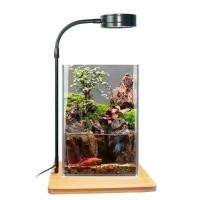 ราคา โคมไฟ LED ไฟวาบิ 3W พร้อมฐานไม้ ไฟเลี้ยงตู้ปลา ไฟตู้ไม้น้ำ ไฟเลี้ยงแคคตัส ไม้ชื้น (1732348176688776759)