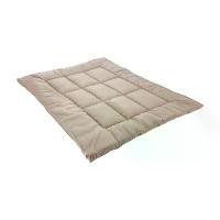 ราคา ไส้หมอน, สไตล์บูติก, Index Living Mall, วัสดุเอสเซ้นส์นุ่ม, ที่นอนขนาด 6 ฟุต, สีครีม (1732143221439628706)