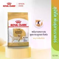ราคา Royal Canin Labrador Retriever Adult 12kg อาหารเม็ดสุนัขโต พันธุ์ลาบราดอร์ รีทรีฟเวอร์ อายุ 15 เดือนขึ้นไป (Dry Dog Food, โรยัล คานิน) (1730754619412613576)