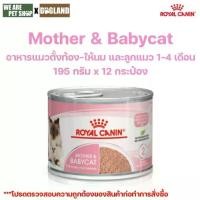 ราคา Royal Canin Cat อาหารแม่แมว และลูกแมว ชนิดเปียก MOTHER & BABYCAT 12 กระป๋อง (1731933140519978222)