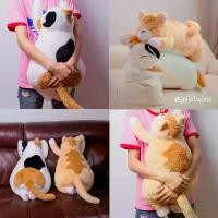 ราคา พร้อมส่งตุ๊กตาแมว แมวญี่ปุ่น ตุ๊กตาน่ารัก แมวสามสี แมวส้ม cat doll 23123 (1732443781657495259)