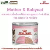 ราคา Royal Canin Cat อาหารแม่แมว และลูกแมว ชนิดเปียก MOTHER & BABYCAT 12 กระป๋อง (1731949059585574621)