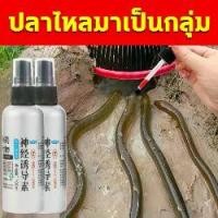 ราคา หัวเชื้อตกปลาไหลนา (100ML) ล่อปลาไหล ดึงดูดปลา จับปลาไหลเร็ว สำหรับปลาไหล สิ่งล่อใจที่แข็งแกร่ง รวมเหยื่อล่อแ ปลาไหล Sports ออกกำลังกาย (1730972035510143922)
