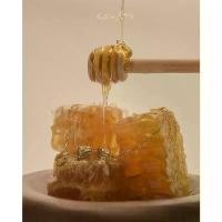 ราคา Julys - honeymoon necklace สร้อยคอ ผู้หญิง สร้อยห้อยพระ สร้อยคอ y2k สายสร้อยห้อยพระ (1732291099989214796)