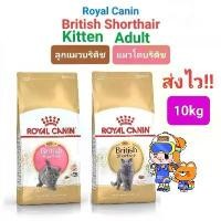 ราคา (ส่วนลดสุดพิเศษ) Royal Canin British Shorthair Kitten 10kg / British Shorthair Adult 10kg อาหารแมว ลูกแมว บริติช 10 กก. (1731906346700015176)