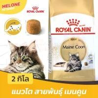 ราคา Royal Canin Maine Coon Adult อาหารแมว แมวโต พันธุ์ เมนคูน อาหารแมว อายุ 15 เดือน ขึ้นไป ขนาด 2 กิโลกรัม สินค้าขายดี (1732093326693337574)